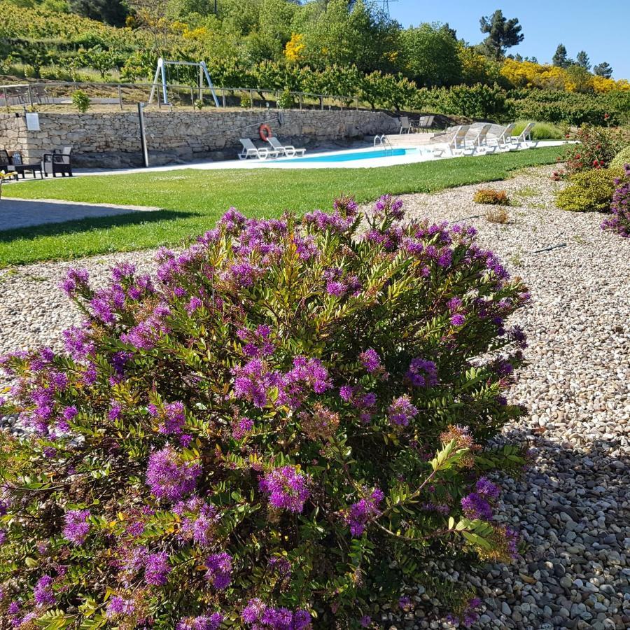 Quinta Bemboa Turismo Espaco Rural Aricera Εξωτερικό φωτογραφία