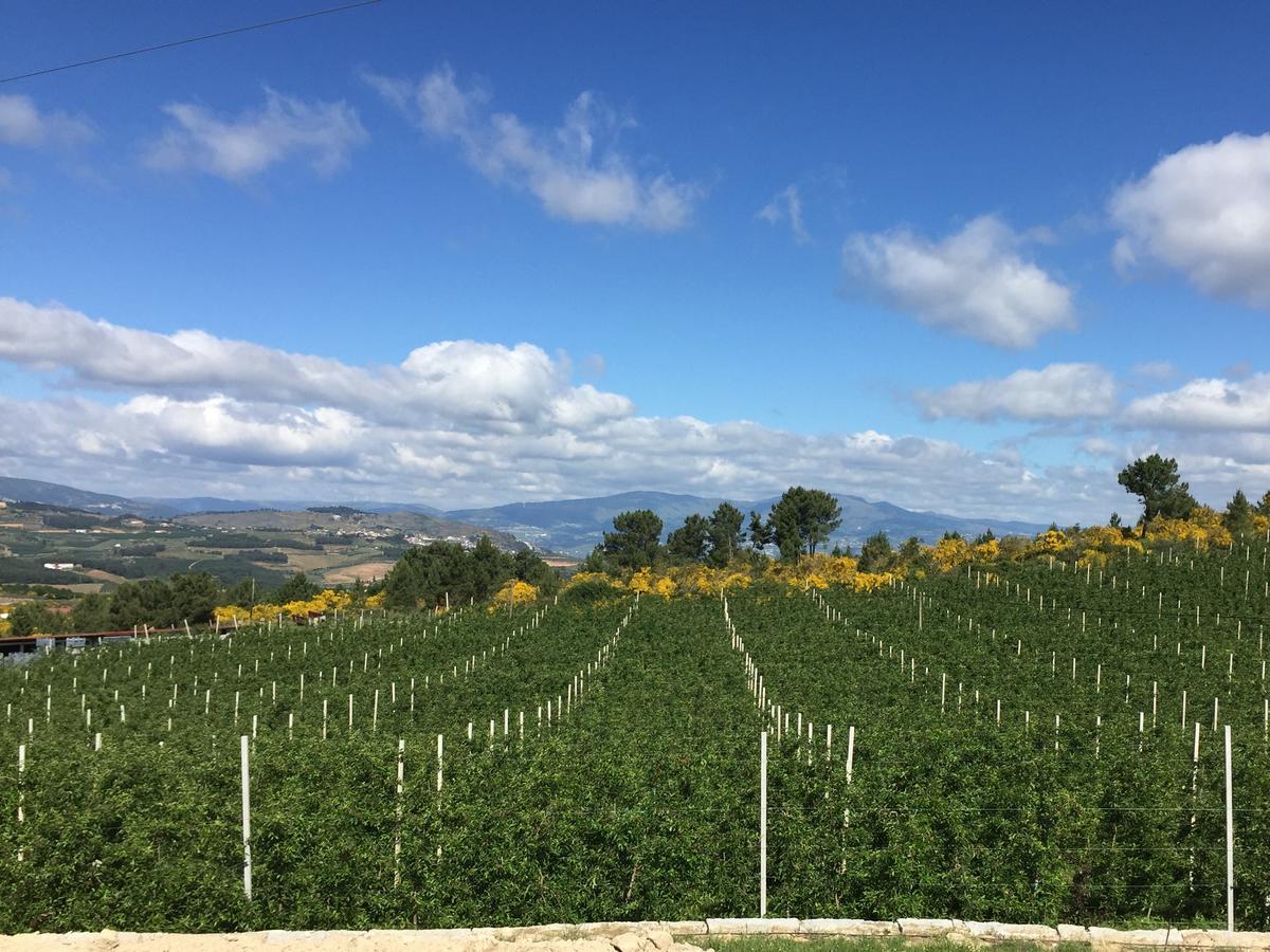 Quinta Bemboa Turismo Espaco Rural Aricera Εξωτερικό φωτογραφία