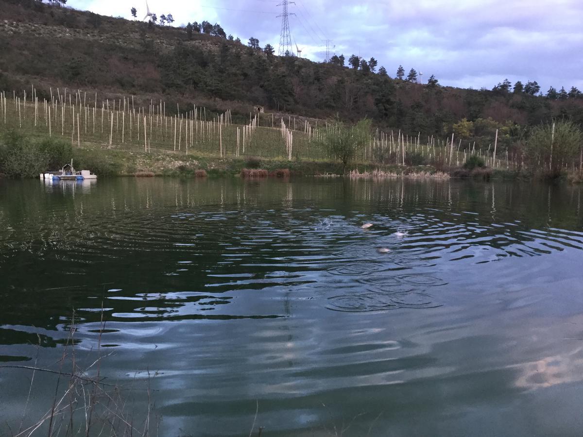 Quinta Bemboa Turismo Espaco Rural Aricera Εξωτερικό φωτογραφία