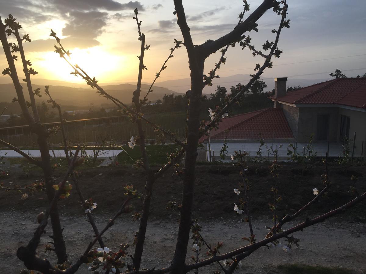 Quinta Bemboa Turismo Espaco Rural Aricera Εξωτερικό φωτογραφία