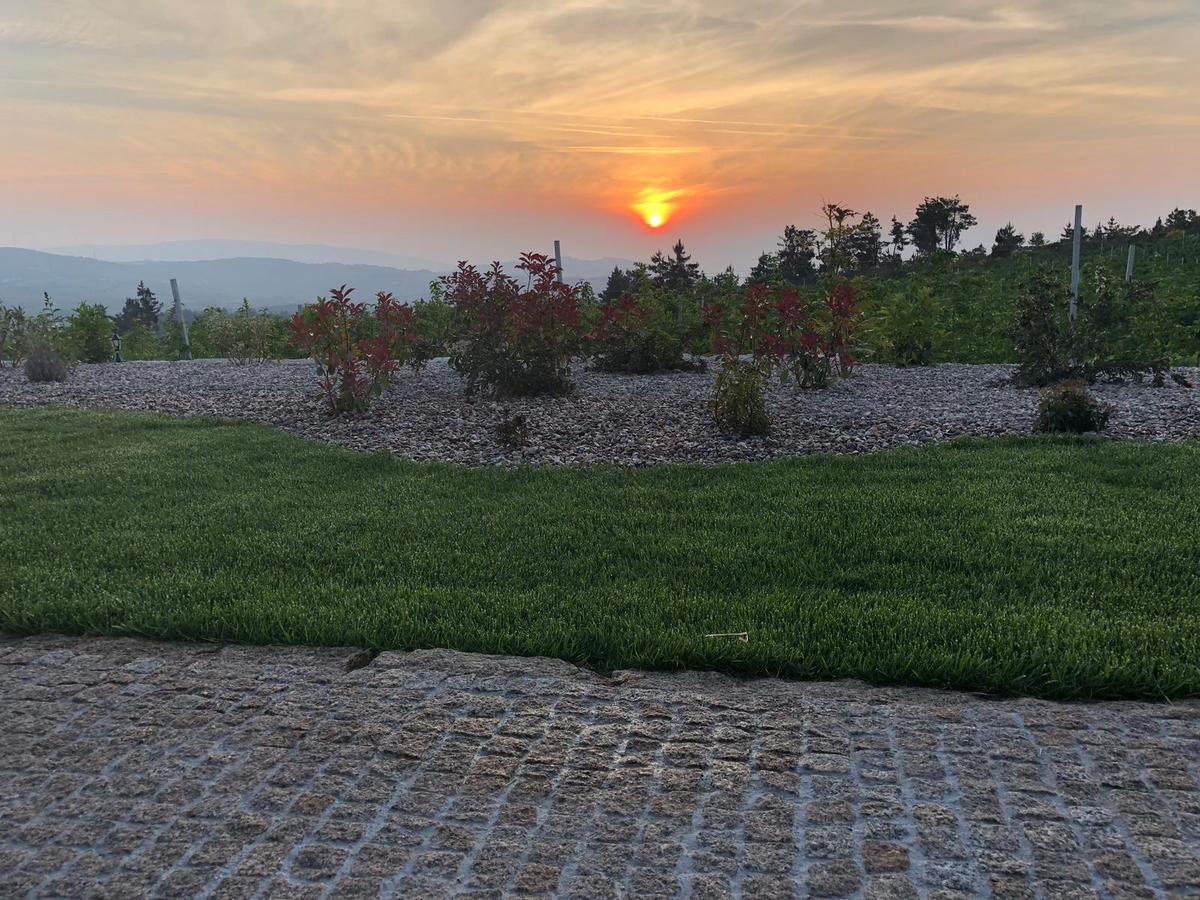 Quinta Bemboa Turismo Espaco Rural Aricera Εξωτερικό φωτογραφία