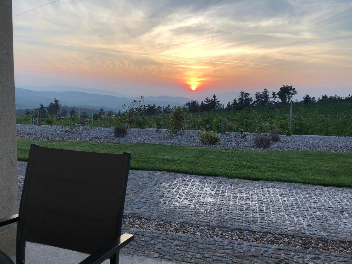 Quinta Bemboa Turismo Espaco Rural Aricera Εξωτερικό φωτογραφία