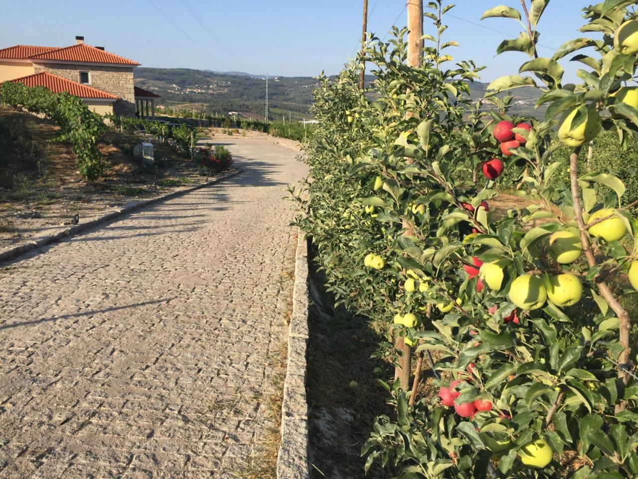 Quinta Bemboa Turismo Espaco Rural Aricera Εξωτερικό φωτογραφία