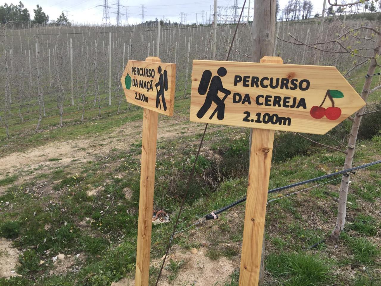 Quinta Bemboa Turismo Espaco Rural Aricera Εξωτερικό φωτογραφία