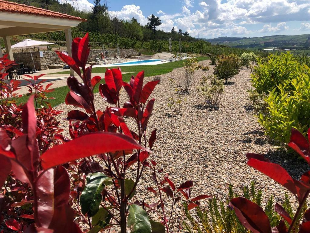 Quinta Bemboa Turismo Espaco Rural Aricera Εξωτερικό φωτογραφία