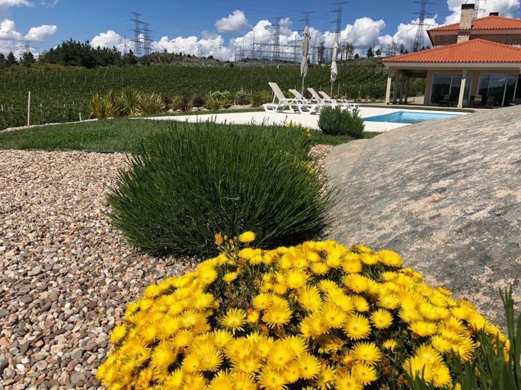 Quinta Bemboa Turismo Espaco Rural Aricera Εξωτερικό φωτογραφία